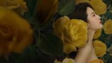 [字]彼女は薔薇＃１＃２　先行放送