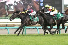 中央競馬全レース中継【第3回中山競馬】ダービー卿チャレンジトロフィー（GⅢ）【第2回阪神競馬】チャーチルダウンズカップ（GⅢ）［NHKマイルカップトライアル］